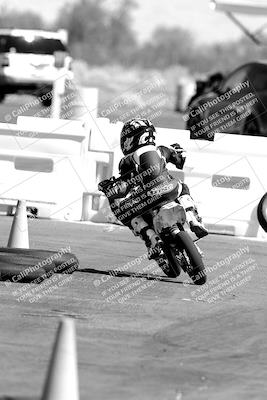 media/Sep-25-2023-Moto Forza (Mon) [[81ffa65e0a]]/Around the Pits/